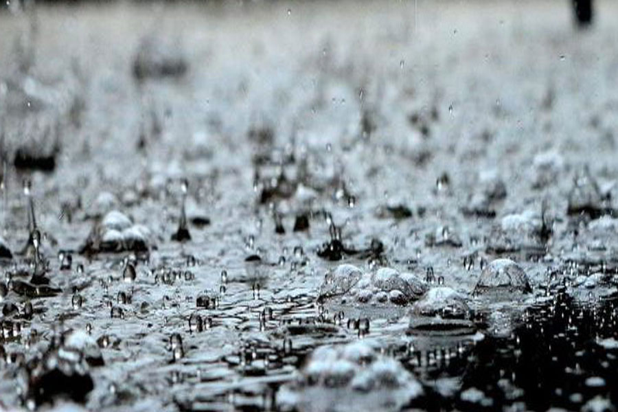 Lovilec olj cena Gorec